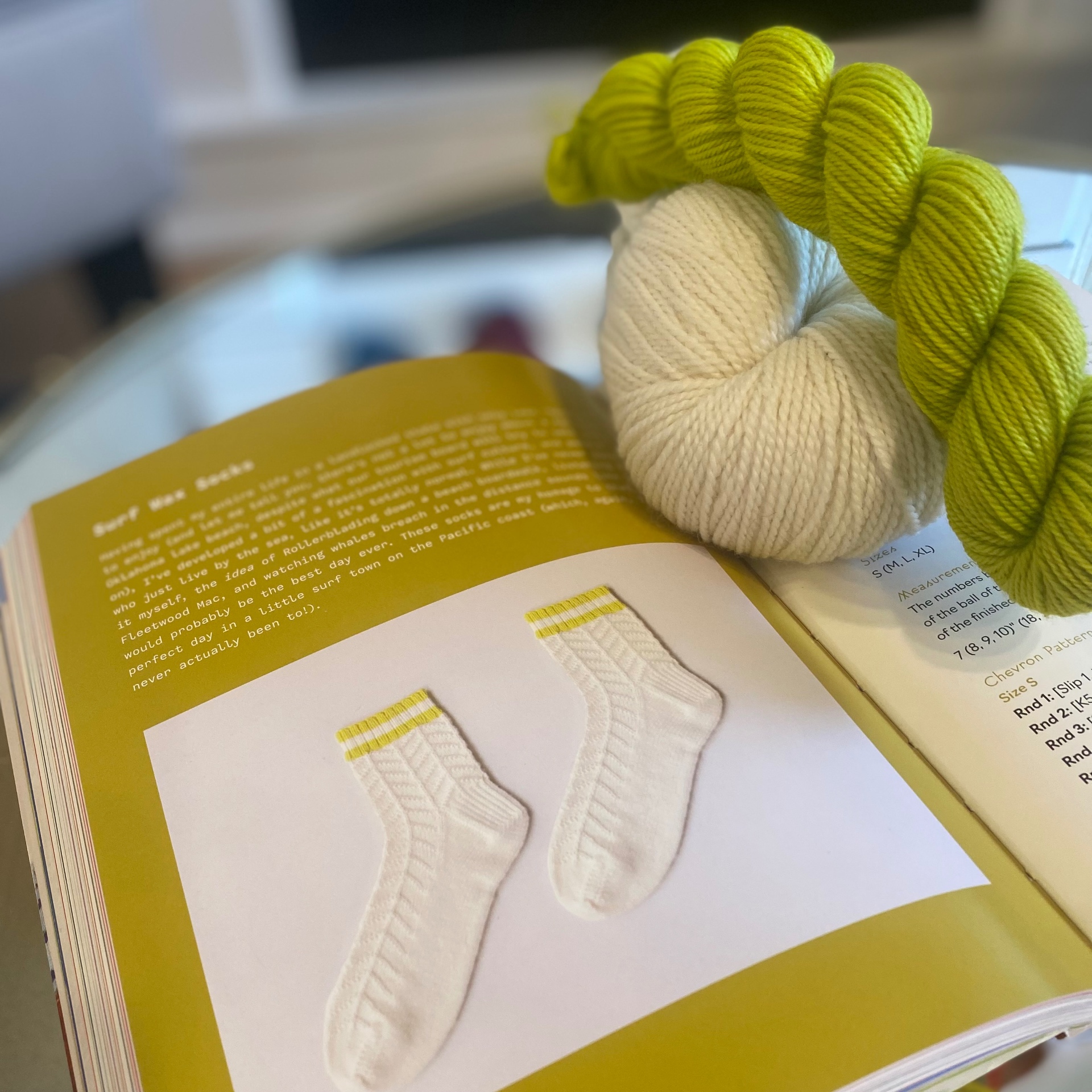 Sock yarn resting on an open page from The Sock Project