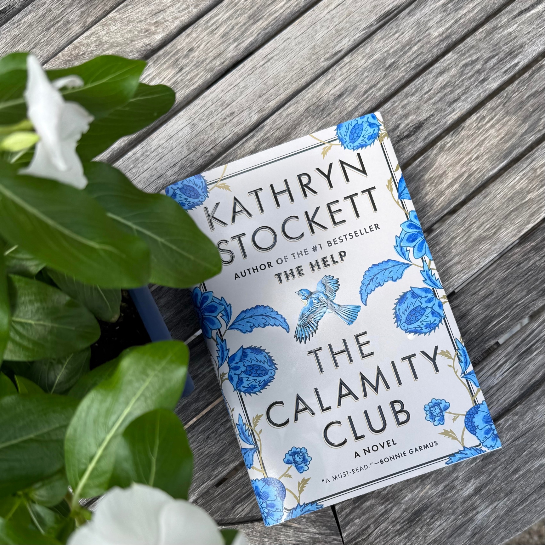 The Calamity Club